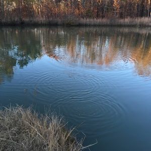 Meet your Posher, Paris